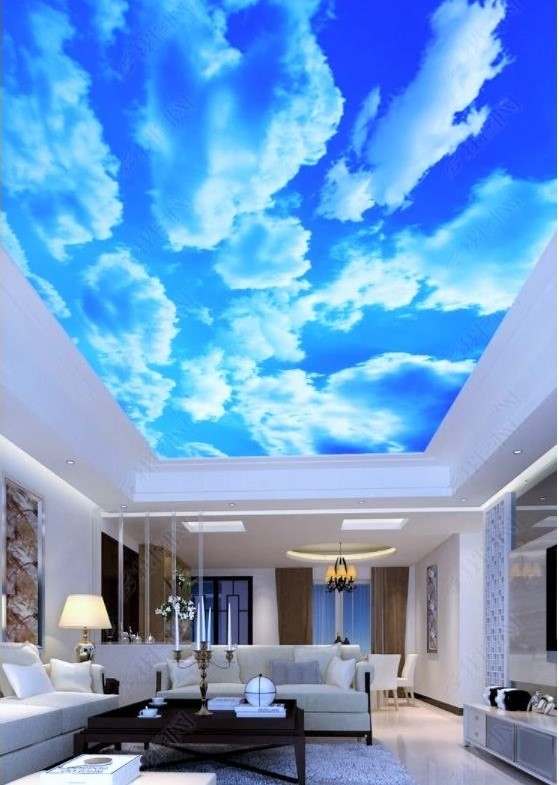 کاربرد سقف چاپی